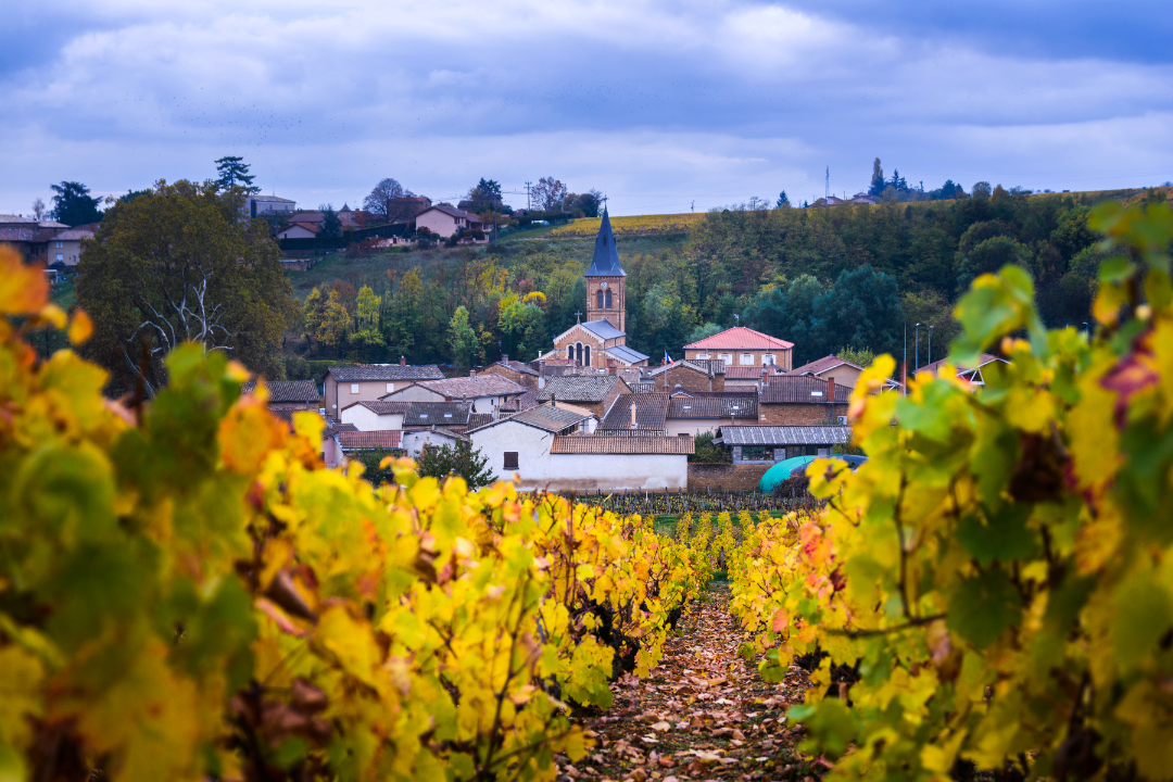 Provence Vacation My Store