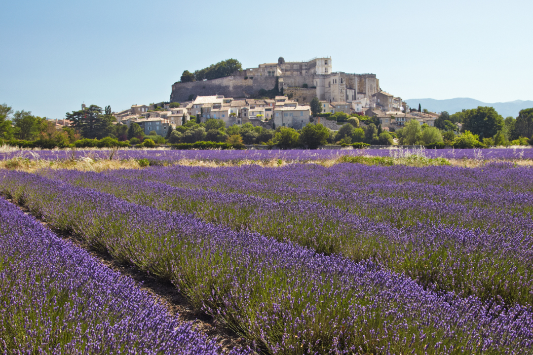 Provence Vacation My Store
