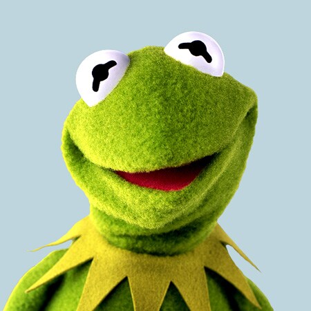kermit Jun27 My Store